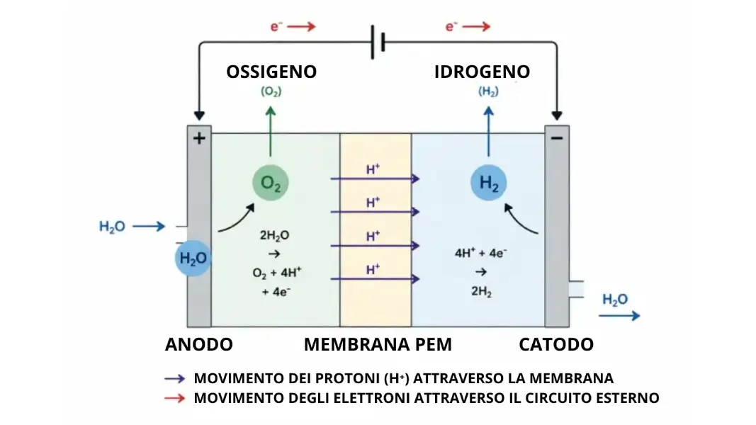 Funzionamento di una membrana PEM in un generatore di acqua idrogenata