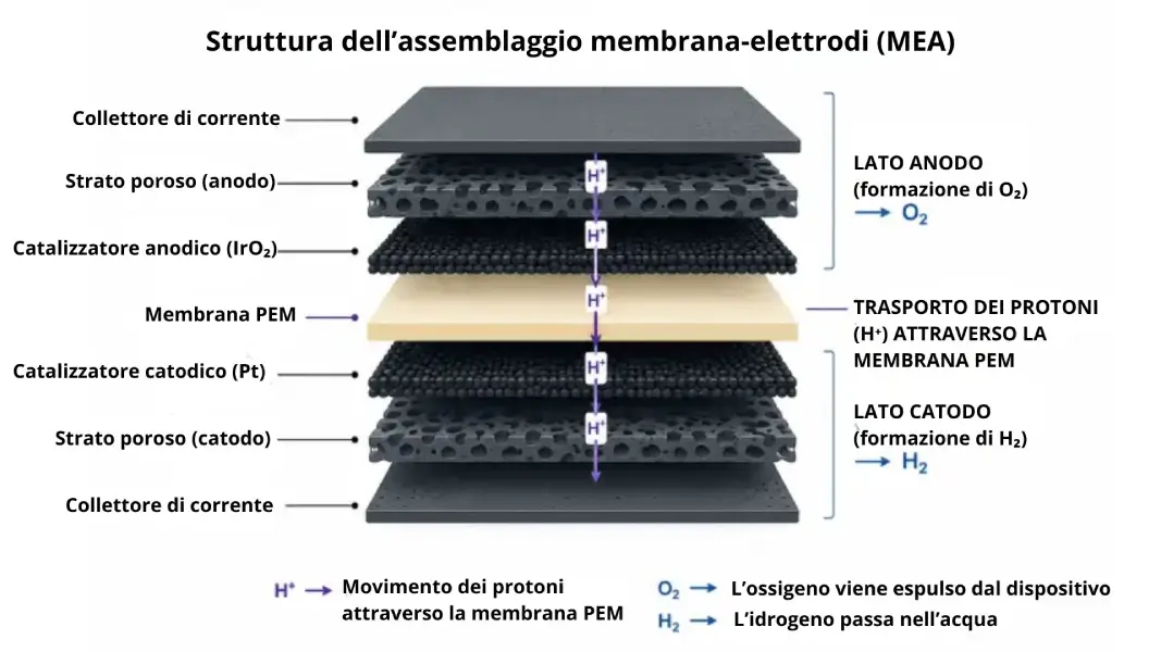 Struttura di una membrana PEM e di un assemblaggio membrana-elettrodi